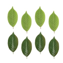 ever green magnolia leaf set – 25pcs realistic pu artificial leaves for diy floral & home decor