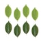 Ever Green Magnolia Leaf Set 25pcs Realistic PU Artificial Leaves For DIY Floral Home Decor 0