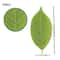 Ever Green Magnolia Leaf Set 25pcs Realistic PU Artificial Leaves For DIY Floral Home Decor 6