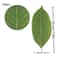 Ever Green Magnolia Leaf Set 25pcs Realistic PU Artificial Leaves For DIY Floral Home Decor 9