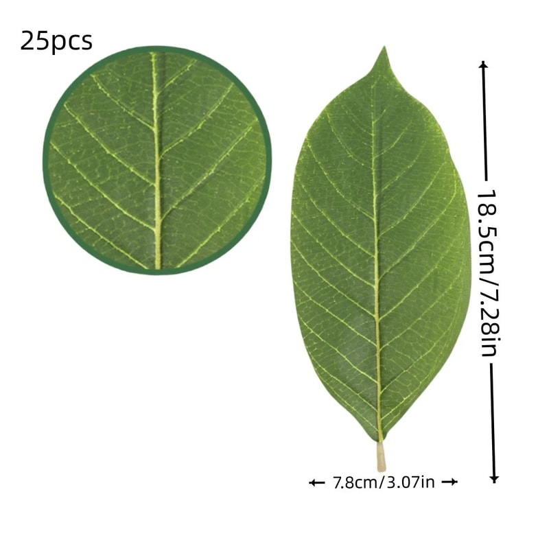 Ever Green Magnolia Leaf Set 25pcs Realistic PU Artificial Leaves For DIY Floral Home Decor 9