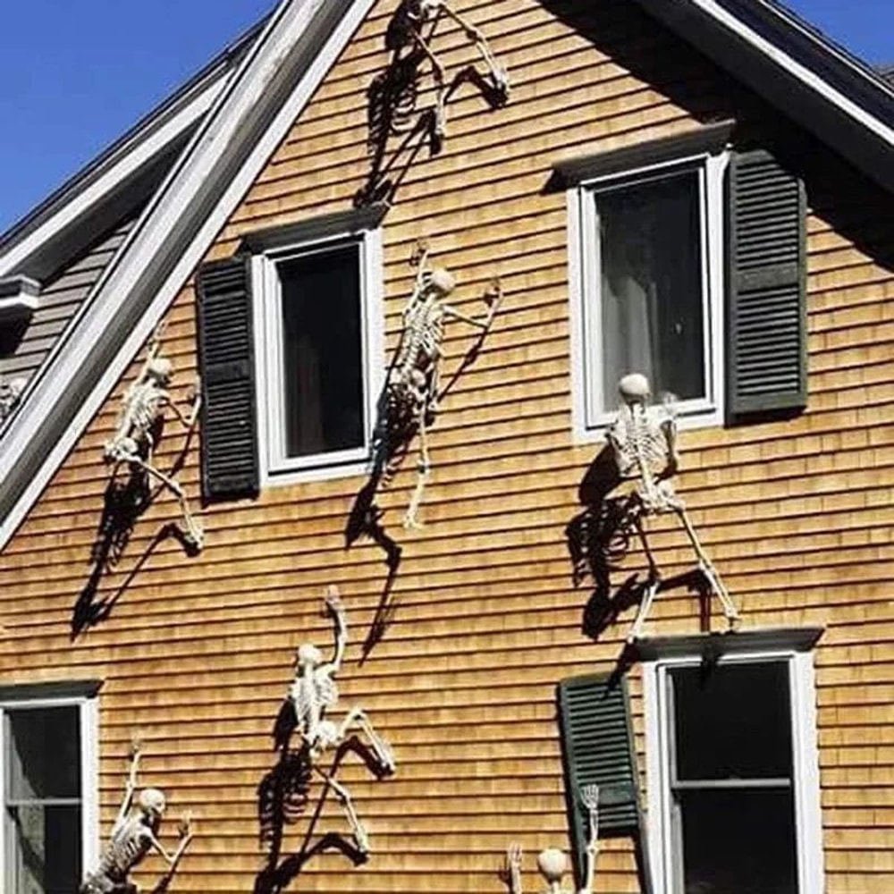 Spooky LifeSize Posable Skeleton Halloween Decor Realistic Humanoid Bone Prop For Haunted House P 1