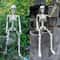 Spooky LifeSize Posable Skeleton Halloween Decor Realistic Humanoid Bone Prop For Haunted House P 0