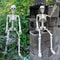Spooky LifeSize Posable Skeleton Halloween Decor Realistic Humanoid Bone Prop For Haunted House P 0