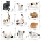 Cute Realistic Lying Cat Figurine Mini Simulation Pet Ornament For Desk Car Decor 5