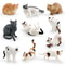 Cute Realistic Lying Cat Figurine Mini Simulation Pet Ornament For Desk Car Decor 0