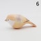 Handmade Wooden Bird Figurine Nordic Style HandCarved Basswood Bird Decor Gift 11