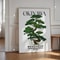 Okinawa Serenity Canvas Poster Japanese Retro Japandi Tree Art Print For Modern Home Decor 13