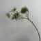 Luxury Realistic Artificial Pine Branch Decor Elegant Faux Pine Stem For Holiday Wedding Party St 1