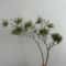Luxury Realistic Artificial Pine Branch Decor Elegant Faux Pine Stem For Holiday Wedding Party St 2