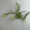 Luxury Realistic Artificial Pine Branch Decor Elegant Faux Pine Stem For Holiday Wedding Party St 11