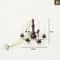 Miniature LED Ceiling Lamp Chandelier 3V Dollhouse Hanging Light With Warm Glow Battery Box 6