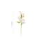 Festive Easter Egg Tree Branch Decor Decorative Faux Easter Stem For Vase DIY Arrangements 4