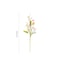 Festive Easter Egg Tree Branch Decor Decorative Faux Easter Stem For Vase DIY Arrangements 4
