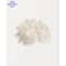 Modern Watercolor Sea Shell Starfish Canvas Wall Art Coastal Ocean Print For Living Room Decor 0