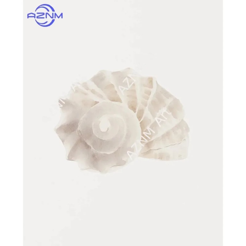 Modern Watercolor Sea Shell Starfish Canvas Wall Art Coastal Ocean Print For Living Room Decor 0