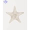 Modern Watercolor Sea Shell Starfish Canvas Wall Art Coastal Ocean Print For Living Room Decor 1