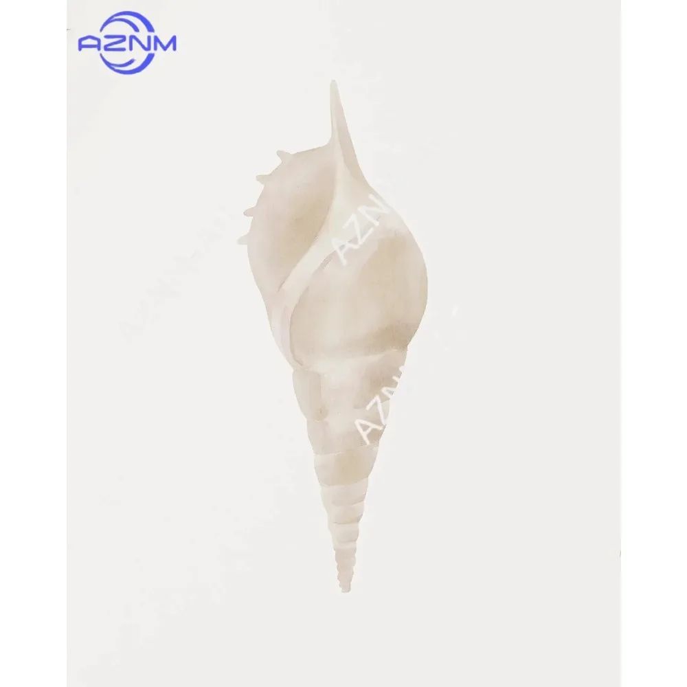 Modern Watercolor Sea Shell Starfish Canvas Wall Art Coastal Ocean Print For Living Room Decor 3