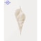 Modern Watercolor Sea Shell Starfish Canvas Wall Art Coastal Ocean Print For Living Room Decor 3