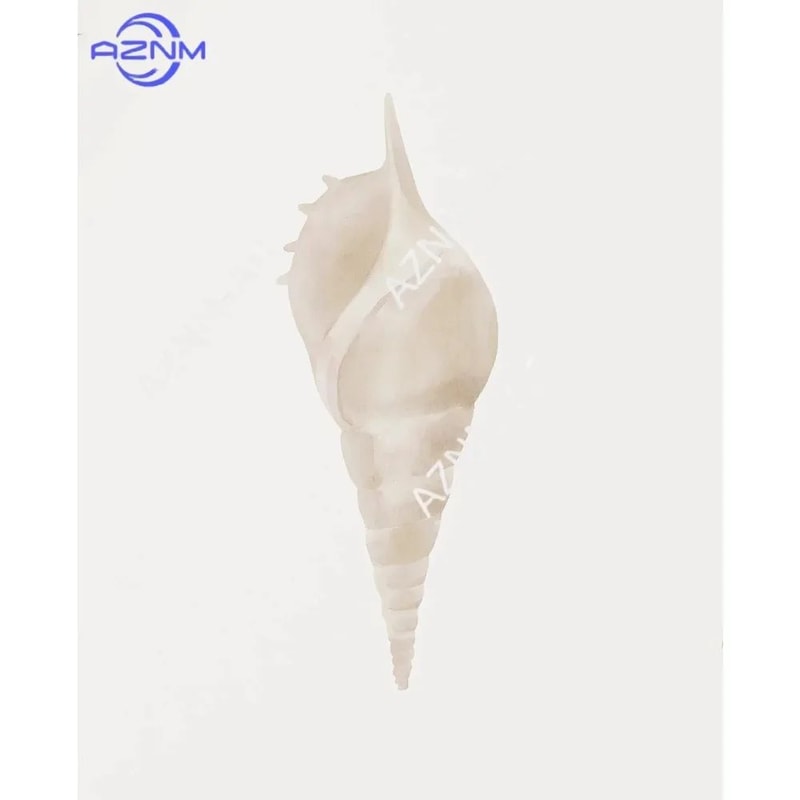 Modern Watercolor Sea Shell Starfish Canvas Wall Art Coastal Ocean Print For Living Room Decor 3