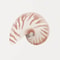 Modern Watercolor Sea Shell Starfish Canvas Wall Art Coastal Ocean Print For Living Room Decor 6