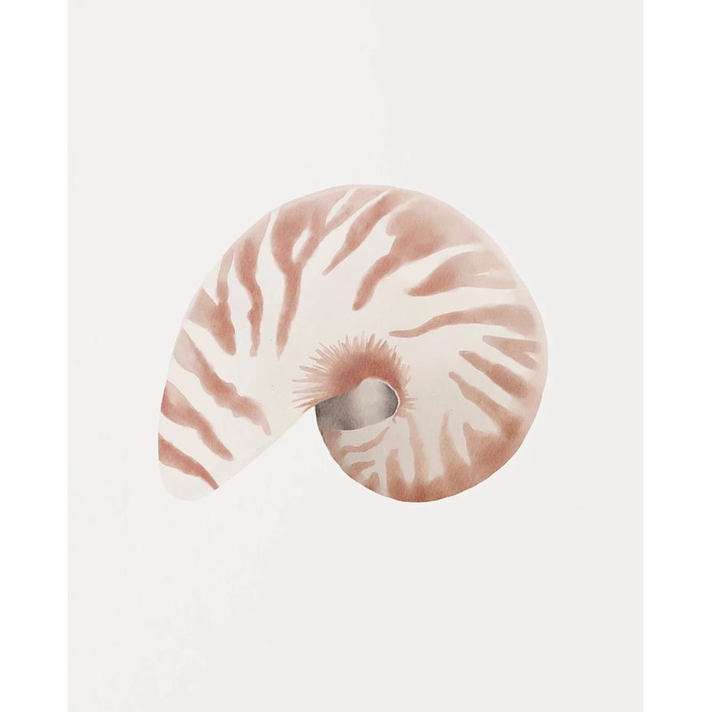 Modern Watercolor Sea Shell Starfish Canvas Wall Art Coastal Ocean Print For Living Room Decor 6