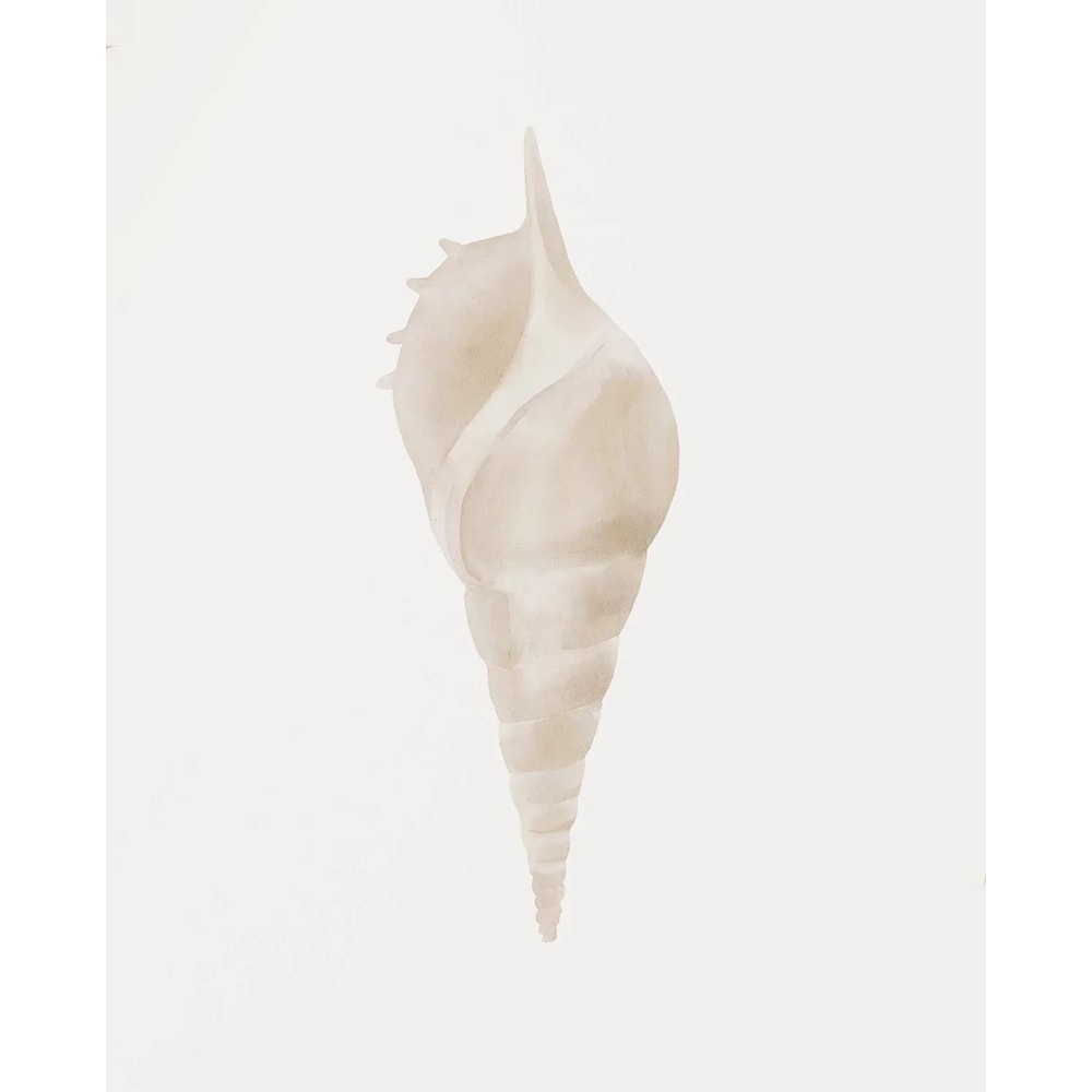 Modern Watercolor Sea Shell Starfish Canvas Wall Art Coastal Ocean Print For Living Room Decor 7