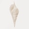Modern Watercolor Sea Shell Starfish Canvas Wall Art Coastal Ocean Print For Living Room Decor 7