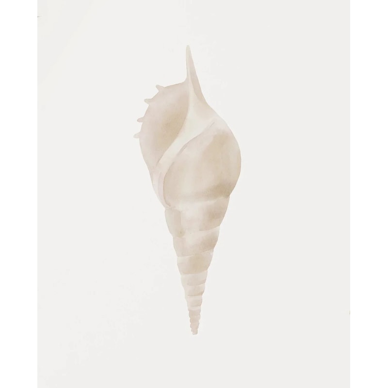Modern Watercolor Sea Shell Starfish Canvas Wall Art Coastal Ocean Print For Living Room Decor 7