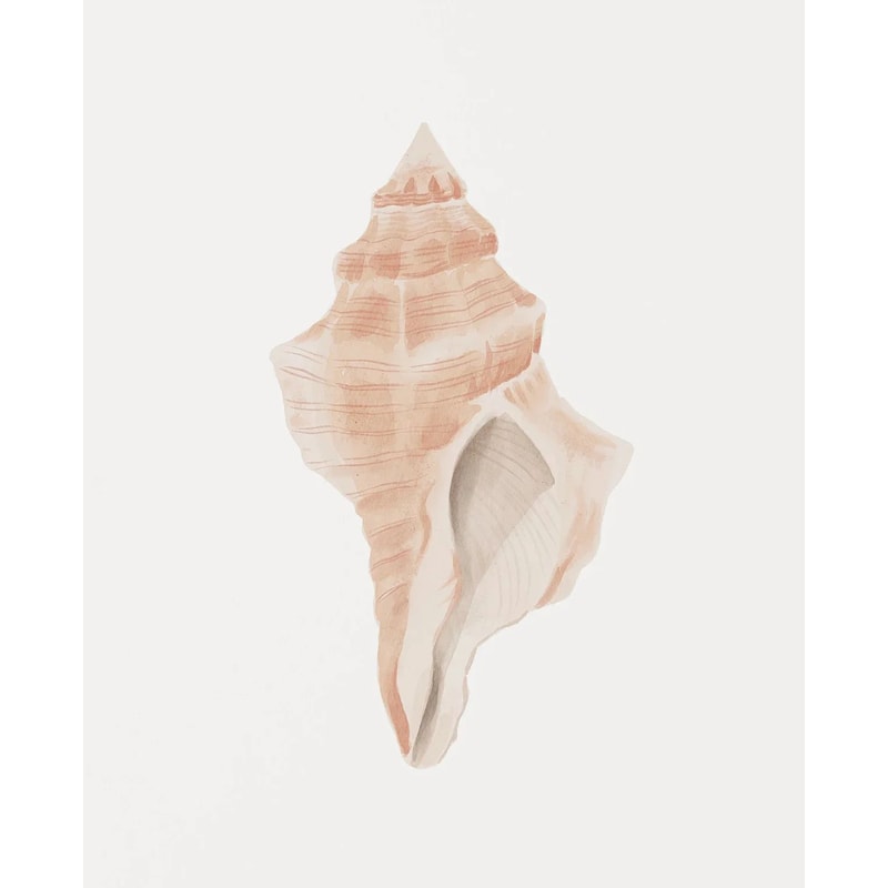 Modern Watercolor Sea Shell Starfish Canvas Wall Art Coastal Ocean Print For Living Room Decor 8