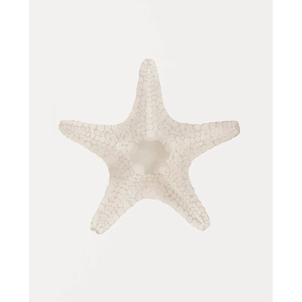 Modern Watercolor Sea Shell Starfish Canvas Wall Art Coastal Ocean Print For Living Room Decor 10