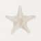 Modern Watercolor Sea Shell Starfish Canvas Wall Art Coastal Ocean Print For Living Room Decor 10