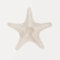 Modern Watercolor Sea Shell Starfish Canvas Wall Art Coastal Ocean Print For Living Room Decor 10