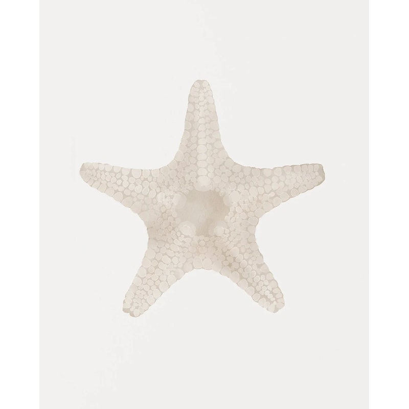 Modern Watercolor Sea Shell Starfish Canvas Wall Art Coastal Ocean Print For Living Room Decor 10