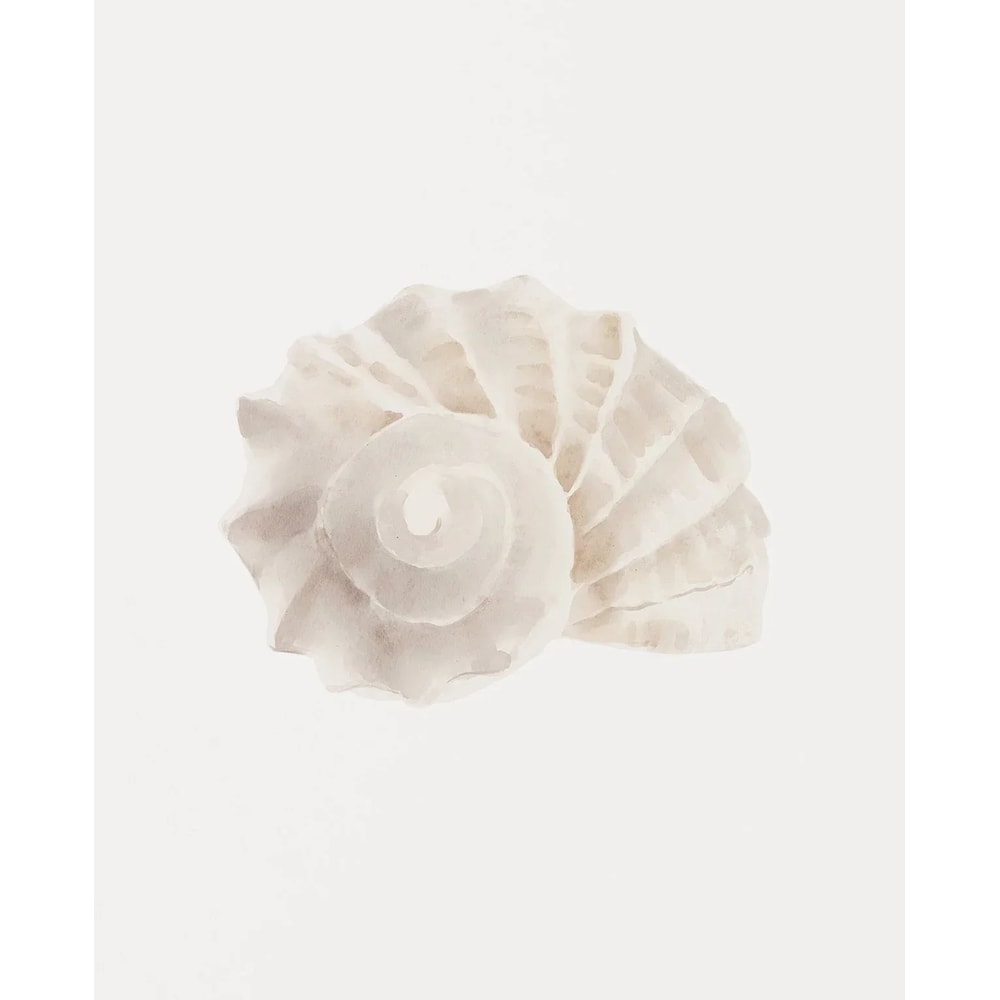 Modern Watercolor Sea Shell Starfish Canvas Wall Art Coastal Ocean Print For Living Room Decor 11