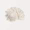 Modern Watercolor Sea Shell Starfish Canvas Wall Art Coastal Ocean Print For Living Room Decor 11