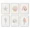 Modern Watercolor Sea Shell Starfish Canvas Wall Art Coastal Ocean Print For Living Room Decor 12