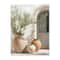 Mediterranean Olive Tree Canvas Wall Art Countryside Landscape Poster For Living Room Bedroom Dec 6