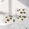 Modern Geometric Metal Ball Art Ornament With Transparent Acrylic Box Decor 5