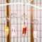 Handmade Japanese Glass Wind Bell Furin Sakura Cherry Blossom Wind Chime Decor 0