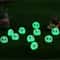 10pcs Glowing Dust Elf Miniature Resin Ornaments Kawaii Fairy Garden Micro Landscape Decor 1
