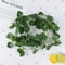 79 Ft Artificial Ivy Hanging Vine Garland Green Leaf Wall Decor Plants 3