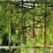 13M Artificial Green Plant Vine Garland Hanging Asparagus Rattan Wall Decor 1