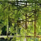 13M Artificial Green Plant Vine Garland Hanging Asparagus Rattan Wall Decor 1