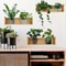 3pcs Green Plant Wall Sticker Set Modern Potted Plant PVC Wall Decals 1