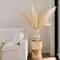 Large Artificial Faux Pampas Grass Stems 47in Tall Fluffy Boho Home Decor 1