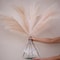 Large Artificial Faux Pampas Grass Stems 47in Tall Fluffy Boho Home Decor 2