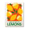 Pink Strawberry Lemon Cocktail Canvas Poster Retro Kitchen Bar Wall Art 9
