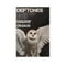 Deftones Around The Fur Canvas Poster Retro Rock Band Wall Art Decor 6