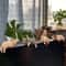 5Pack Kawaii Healing Cat Screen Sitter Figurines Cute Monitor Desk Companion Decor 2